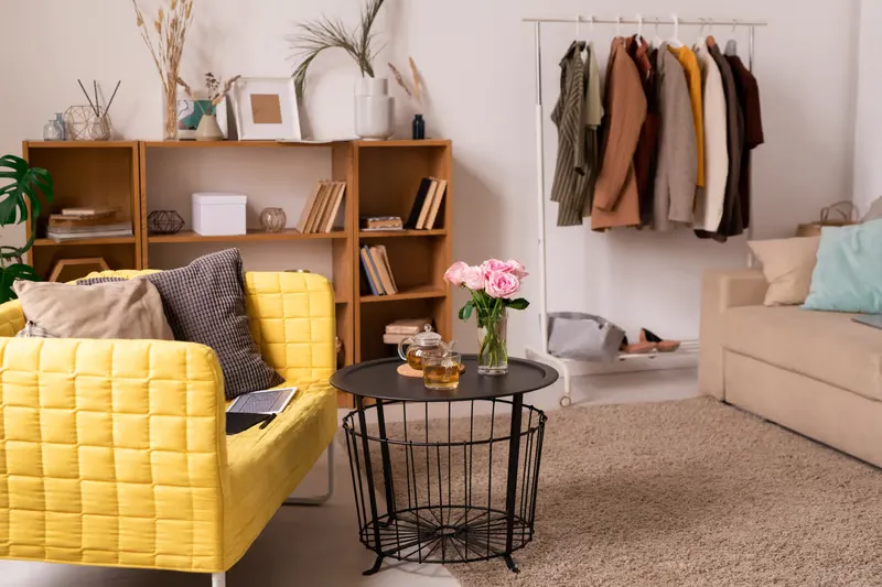 Organized closet and living space in a small New York apartment, showcasing storage solutions and