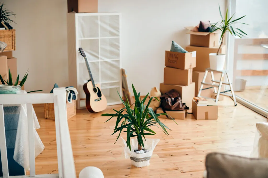 Moving boxes and a potted plant waiting in a bright new apartment