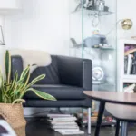 A cozy living room featuring a snake plant in a wicker basket and a black armchair to help keep your home stays organized