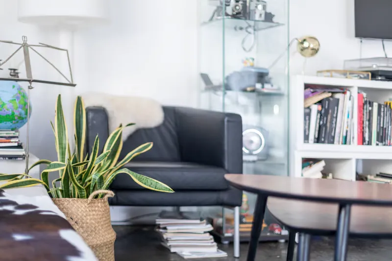 A cozy living room featuring a snake plant in a wicker basket and a black armchair to help keep your home stays organized
